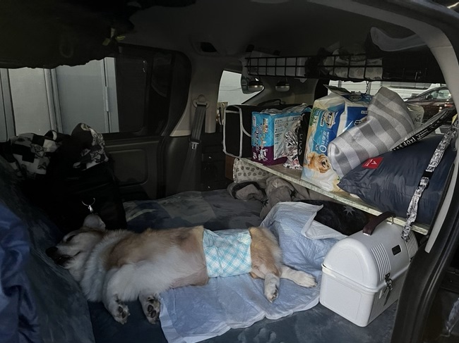 車中泊・車内の様子