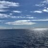 フェリーから見る大海原
