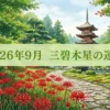 2026年9月三碧木星の運勢